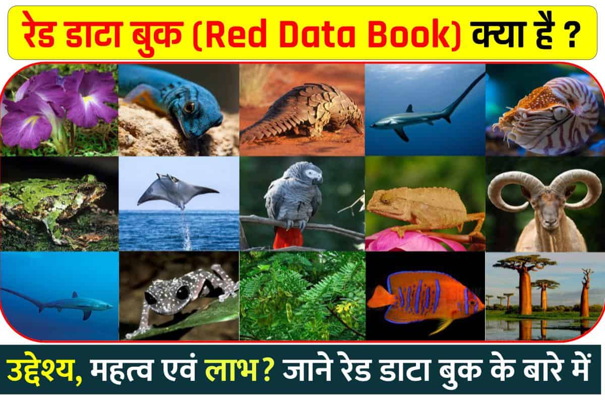 Red data book kya hai रेड डाटा बुक किसे कहते हैं? जानिए विस्तार से